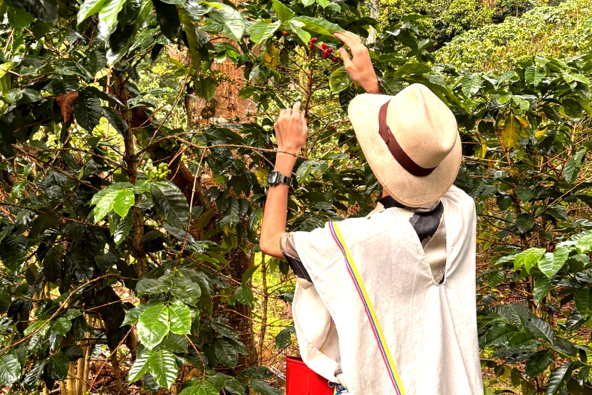Guest harvesting at the farm