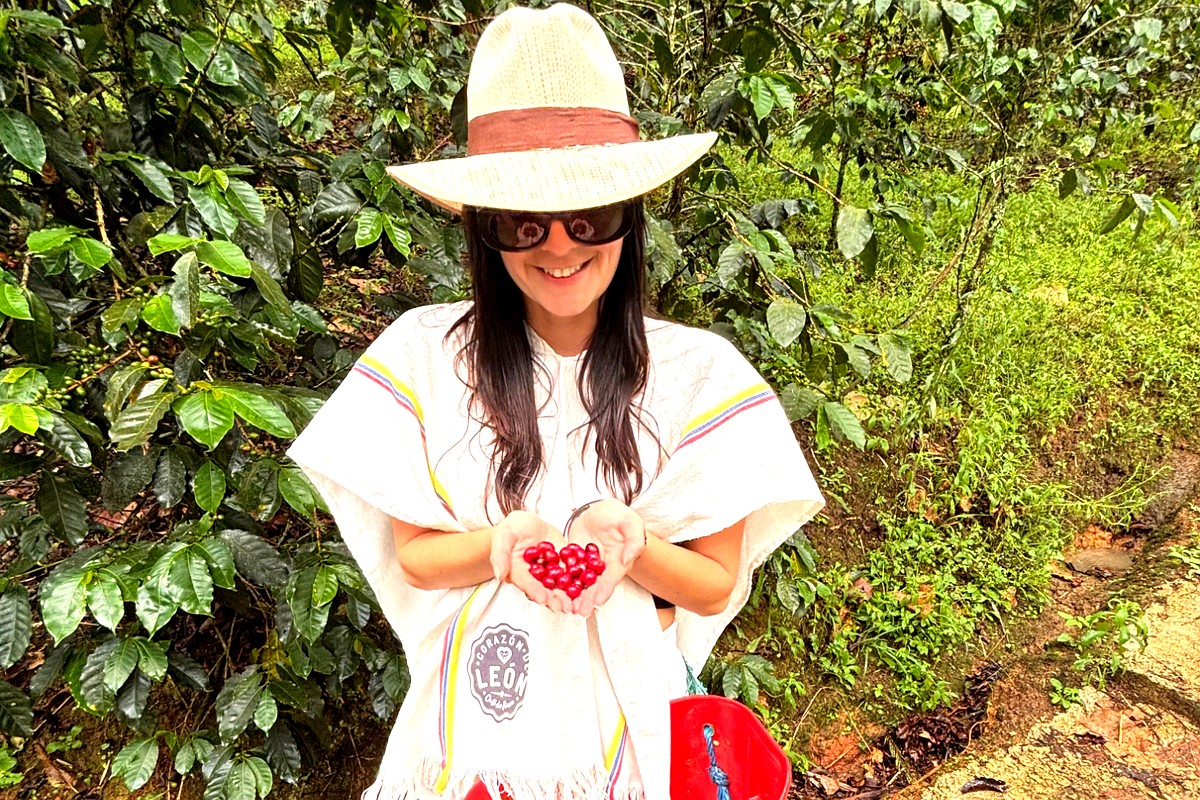 Guest among the coffee plants
